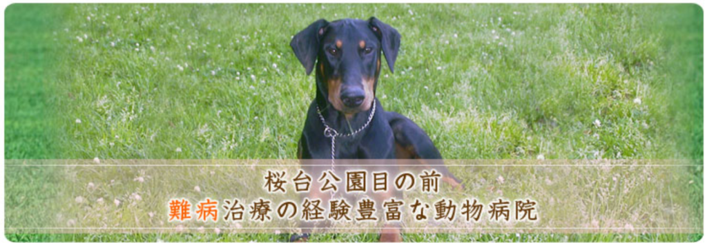 フロントページの画像(犬)